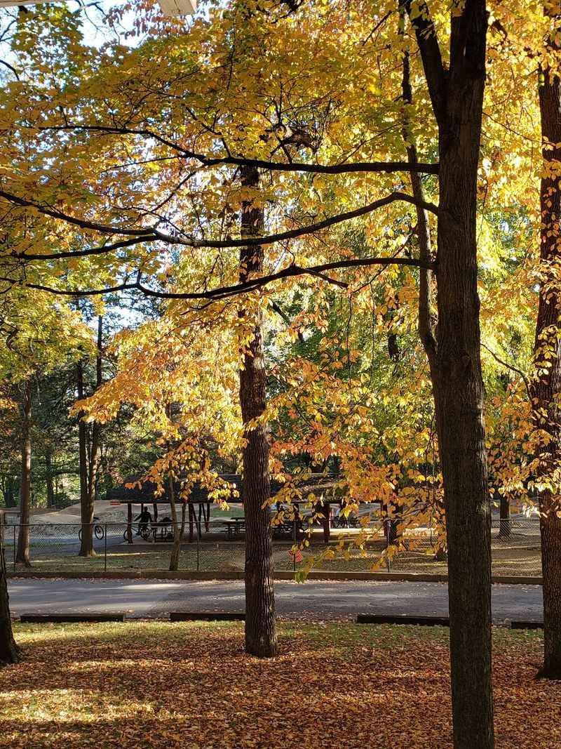 Coleman Memorial Park
