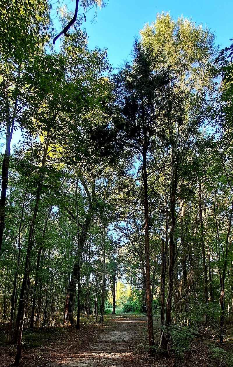 Music Bend Nature Trail