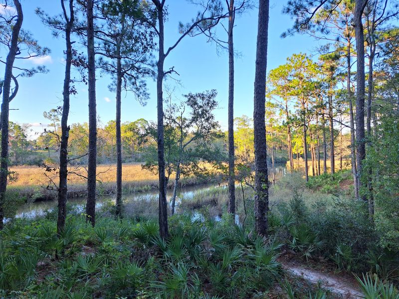 Mississippi Sandhill Crane National Wildlife Refuge Fontainebleau Nature Trail