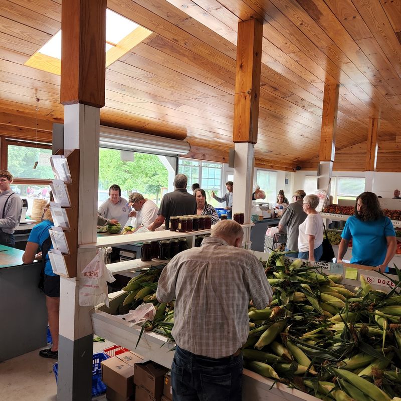 Delano Community Farm Market