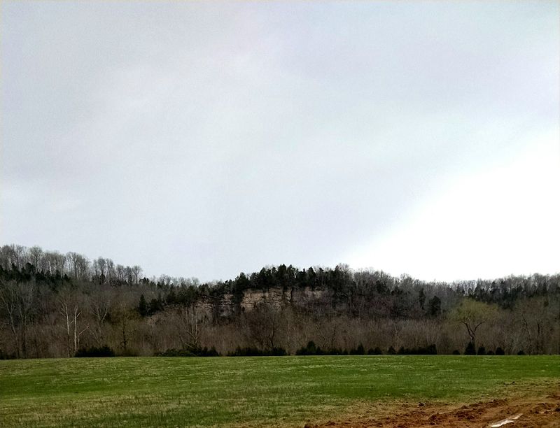 Kingston Springs