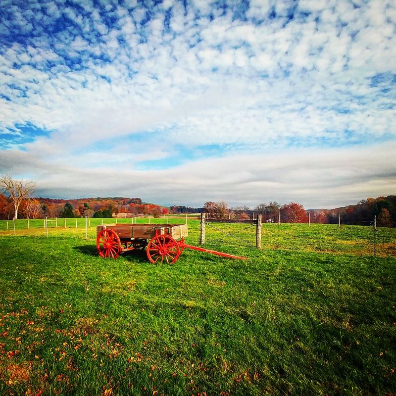 Wagon Rides Through the Fields