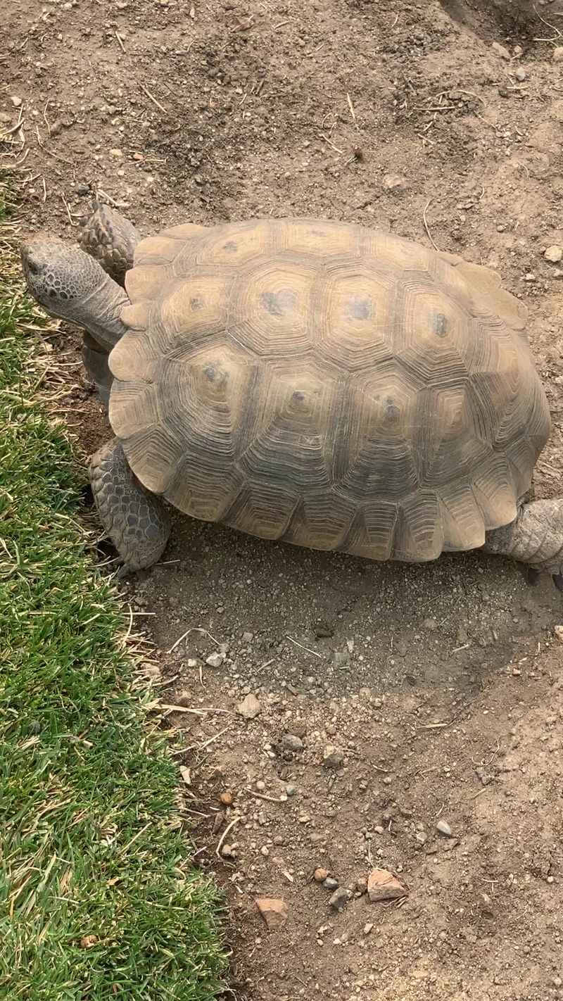 A Rescue Story Behind Every Habitat