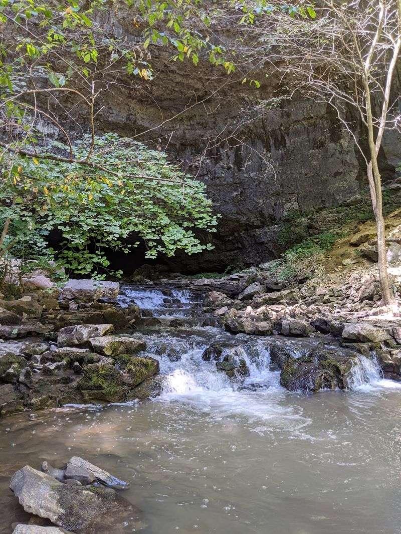 A Solution Valley Carved By Patient Water