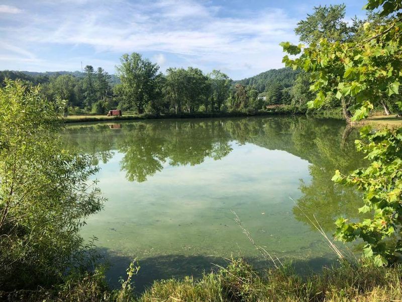 Ground That Remembers Thousands Of Years