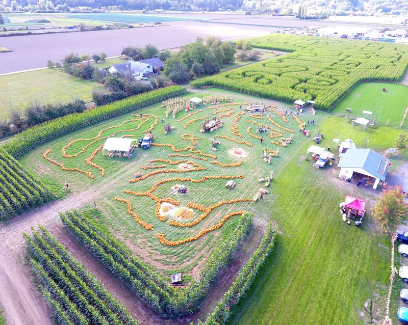 Where Fall Traditions Come Alive