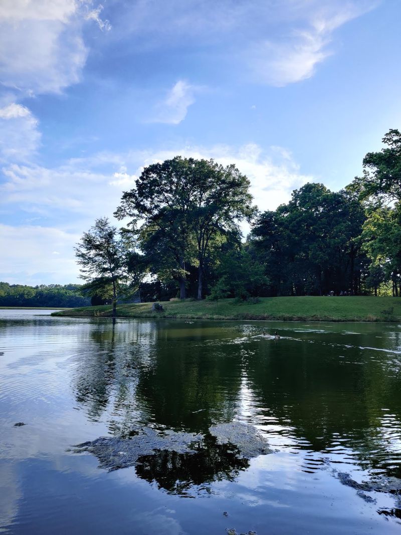 A Wilderness Shaped By The Mississippi River
