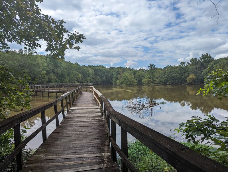 A Swamp Trail Hiding Off Airways Boulevard