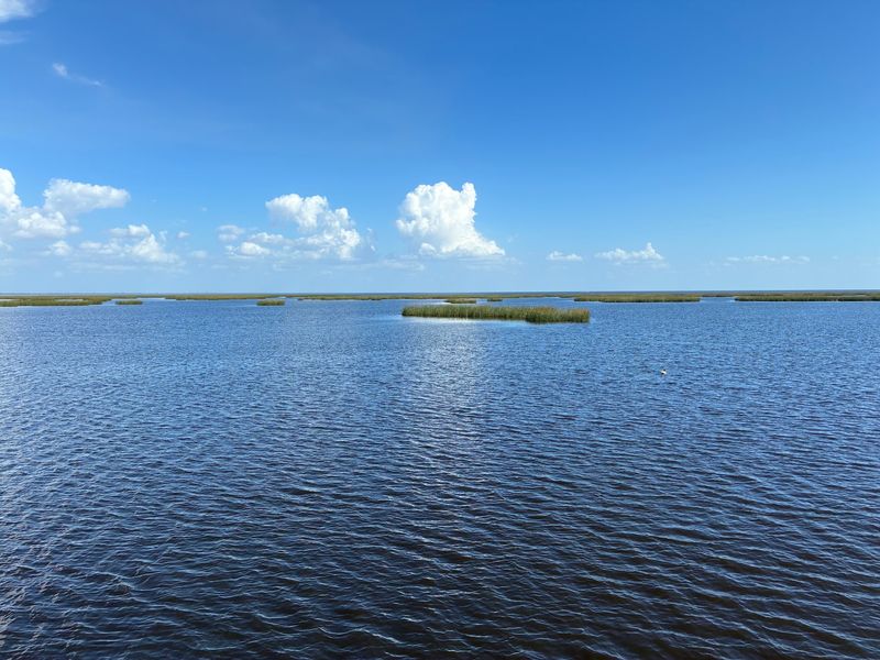 Florida's Liquid Heart Sets The Stage