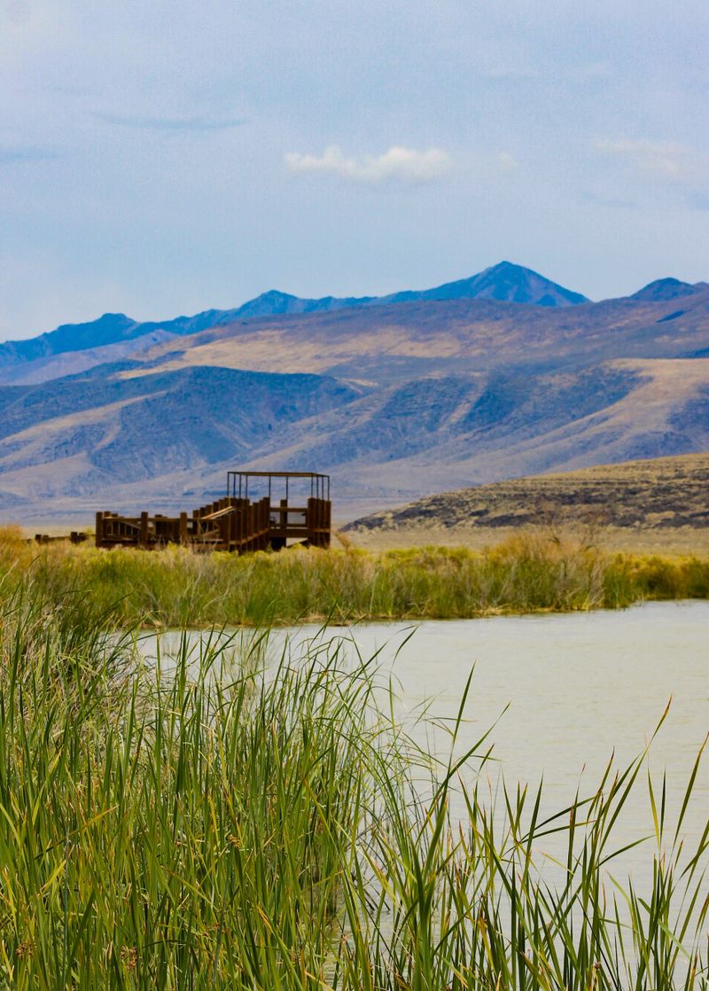 An Oasis Sitting East Of Fallon