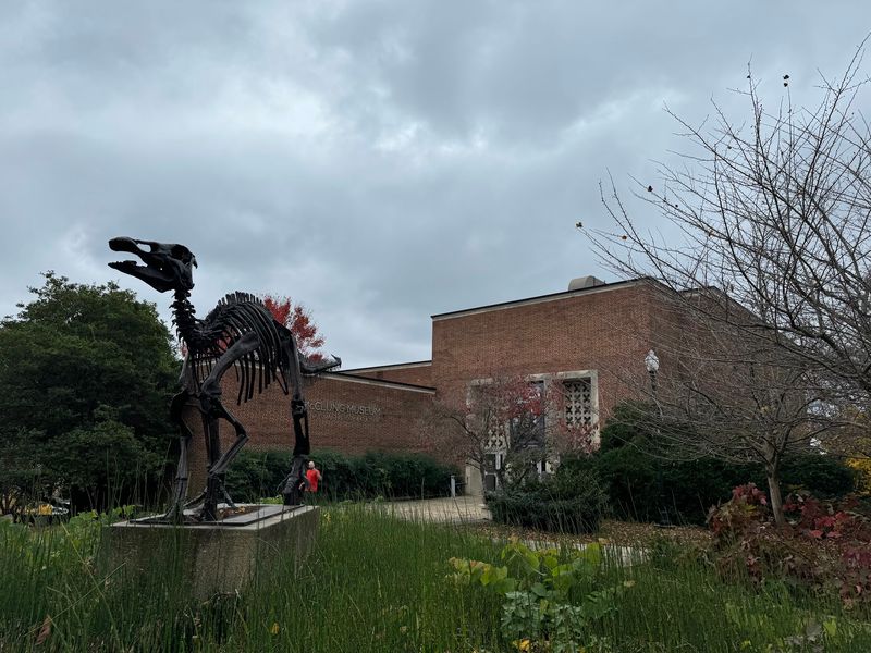 A Campus Museum Hiding Behind the Stadium