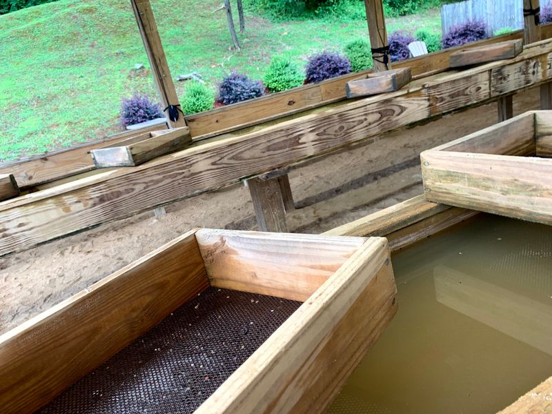 Where America's First Gold Rush Actually Started