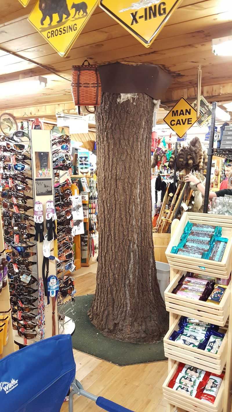 A Store Built Around A Living Tree