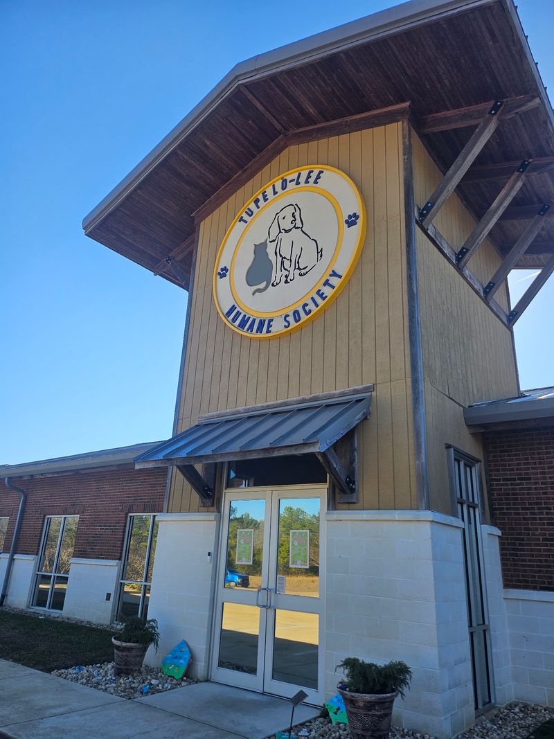 A Shelter On Cliff Gookin Boulevard