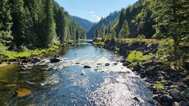 A Forest The Size Of Small States