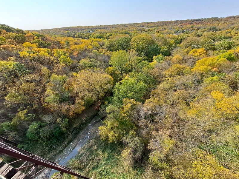Fall Colors That Steal The Show
