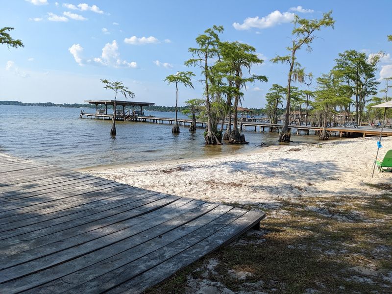 A Carolina Bay With Water You Can See Through