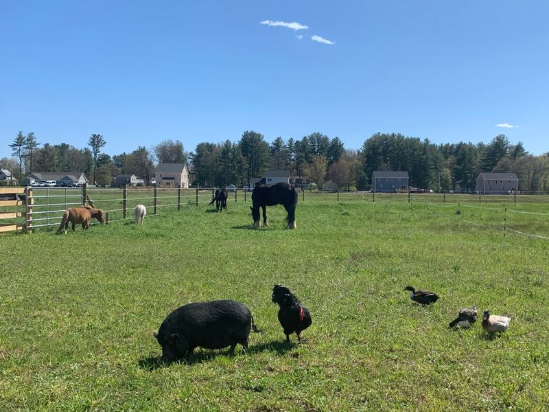 The Farm That Started With Two People And A Big Idea