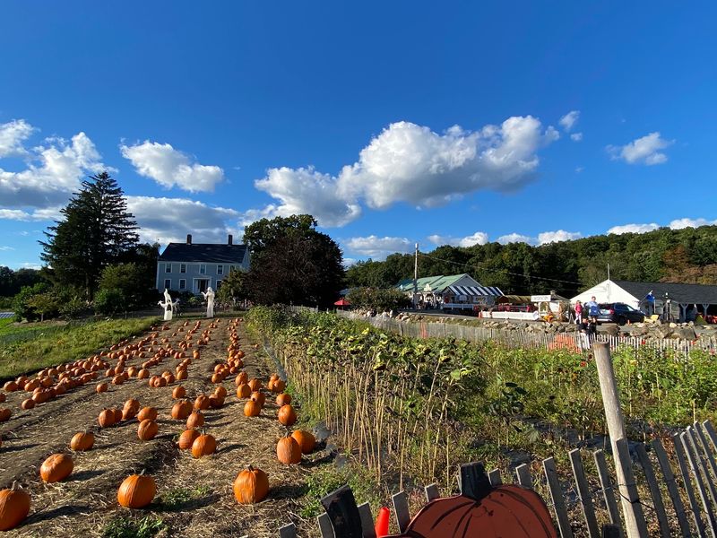 Pick Your Own Harvest Treasures