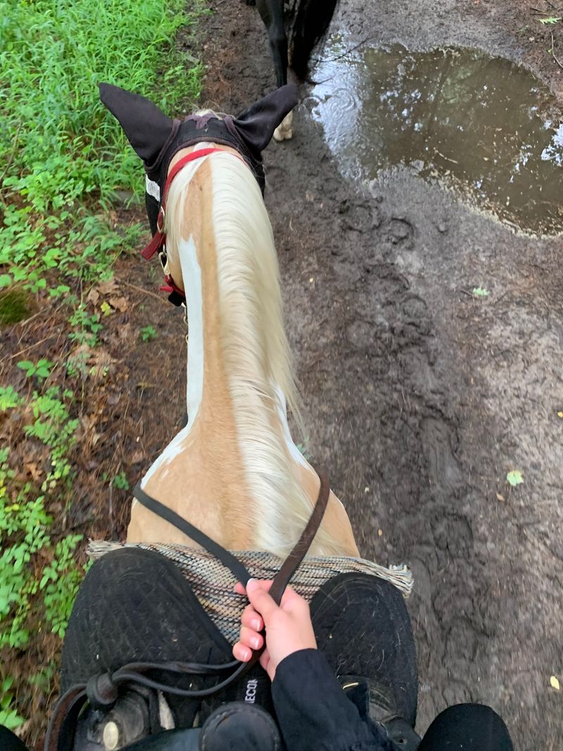Where Beginners Become Riders Fast