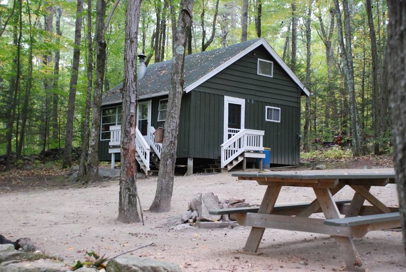Handmade Logs With Real History