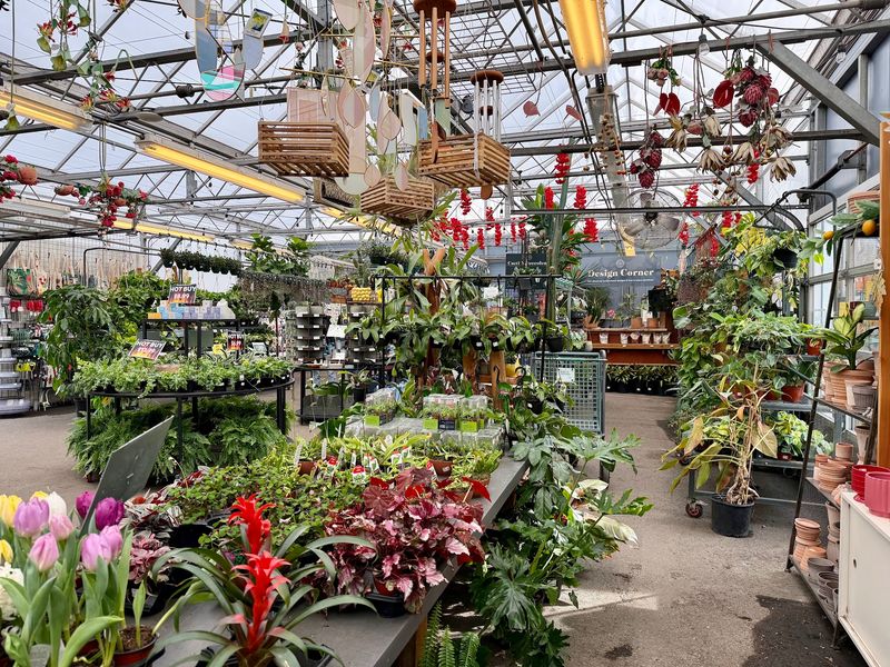 A Family Business That Grew Like A Well-Watered Vine