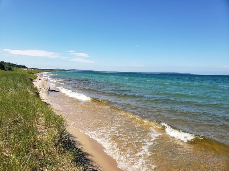 A Tropical Surprise In The North