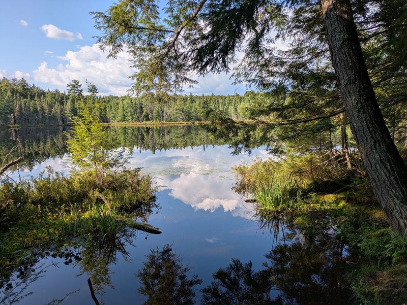 A Million Acres Of Upper Peninsula Wild