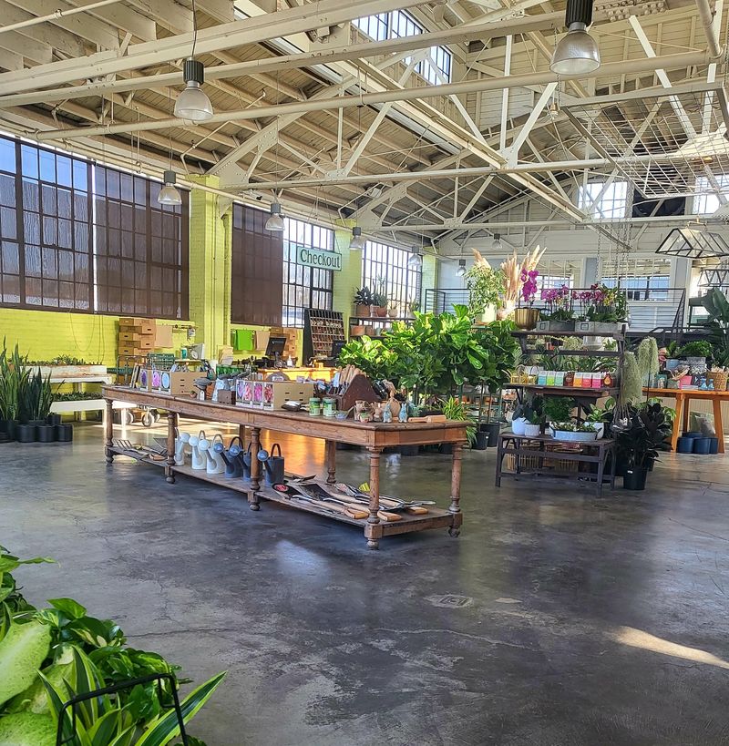 A Greenhouse Café Hiding Inside An Old Auto Shop