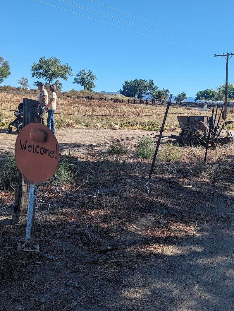 A Working Family Farm That Welcomes Visitors Year-Round