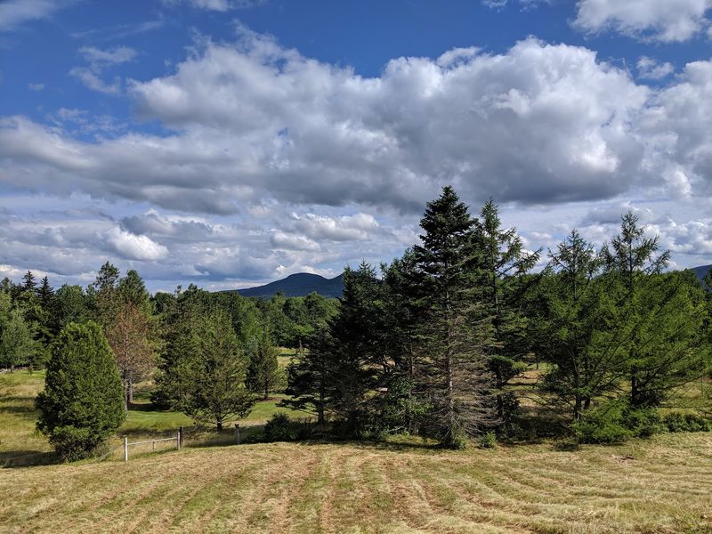 A Mountain Garden Built To Beat The Cold