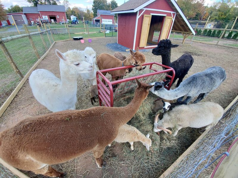 Fifteen Acres Of Autumn Energy