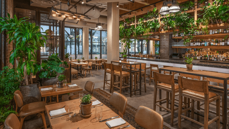 A Green Retreat Hiding In Plain Sight