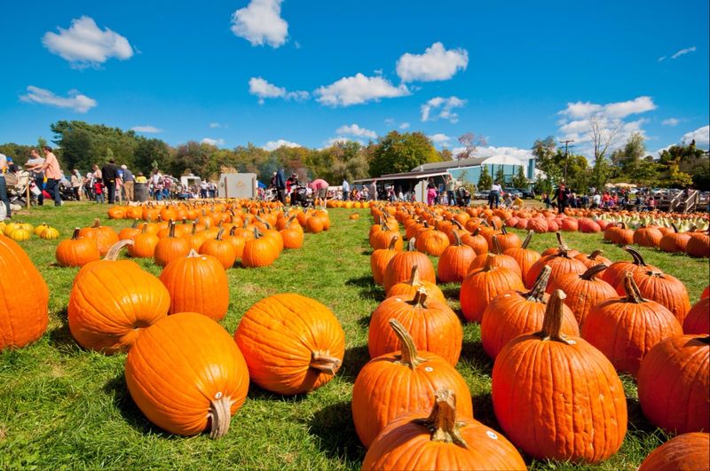 Sixty-Five Acres Of Pure Autumn Theater