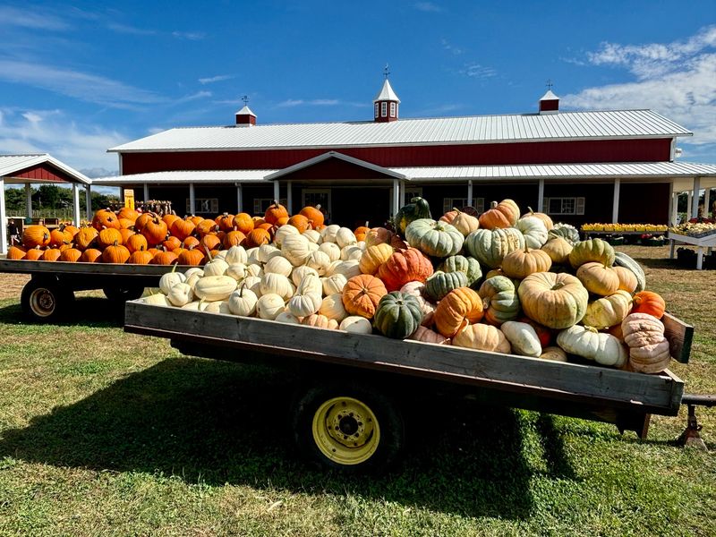 The Bakery That Keeps Autumn Hours Only