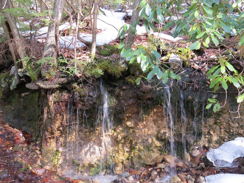 A Quarry Wall That Keeps Handing Out Crystals