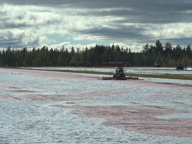 A Working Marsh That Welcomes Curious Guests