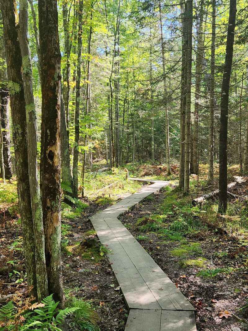 A Short Walk That Feels Much Bigger Than Its Mileage