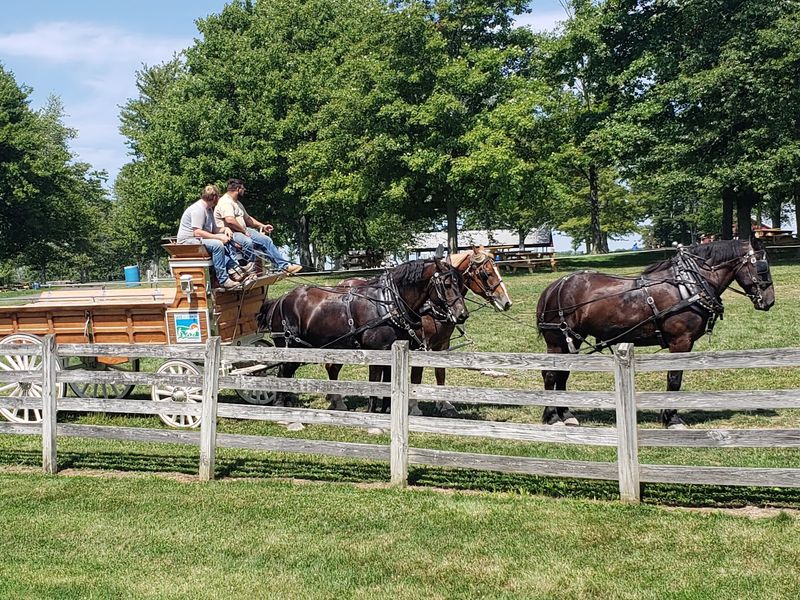 A Working Farm Park in Lake County