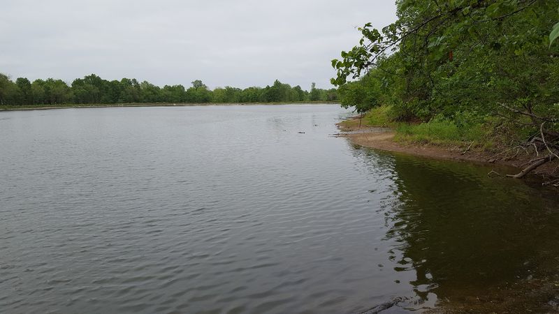 A Quiet Lake With A Loud Reputation