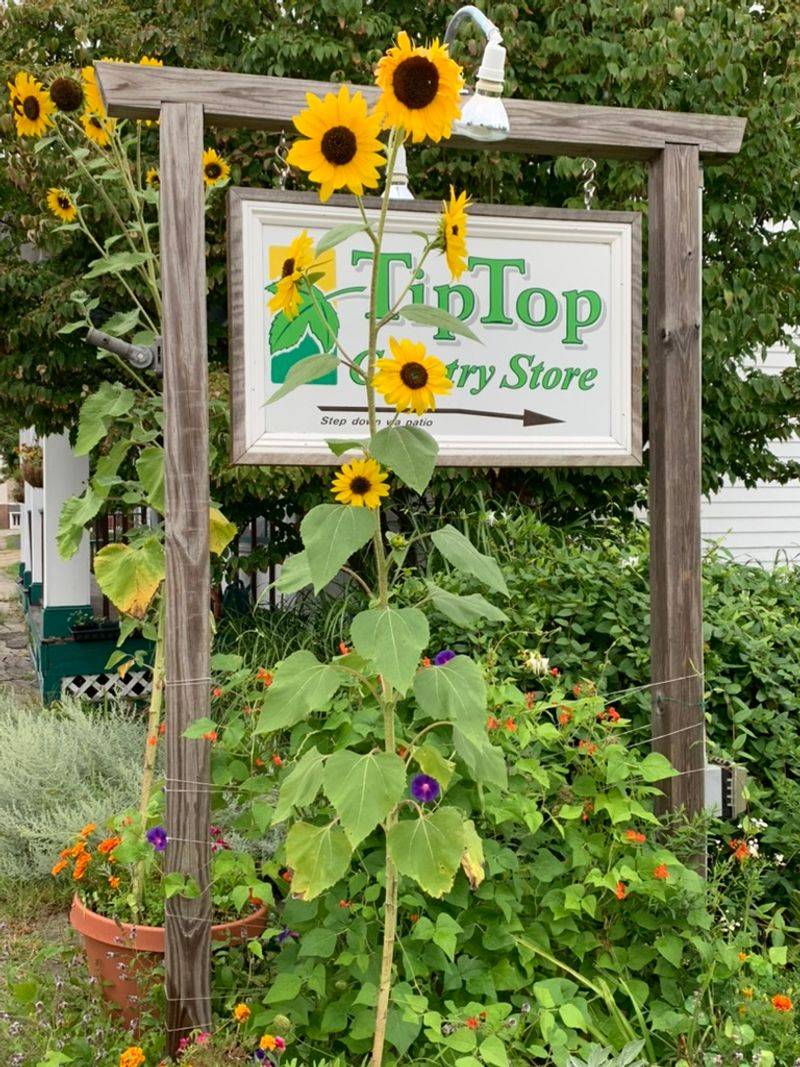 A Country Store Reborn