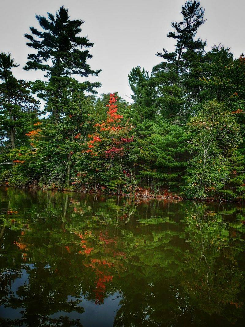 Fall Colors Turn The Water Into A Mirror