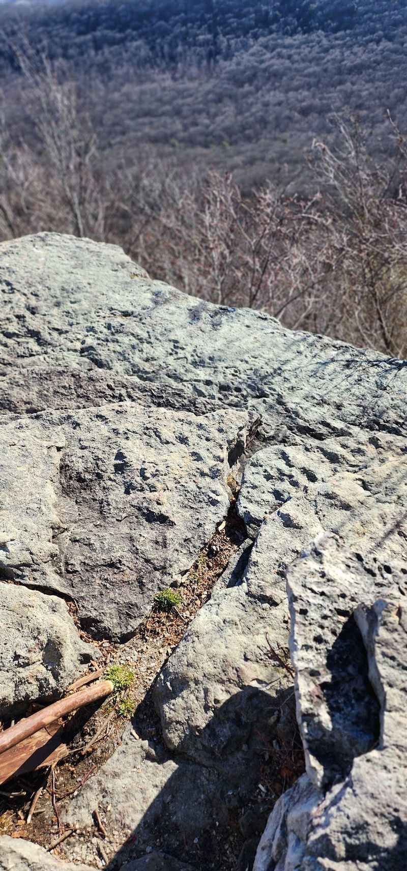 Smart Moves Near The Ledges