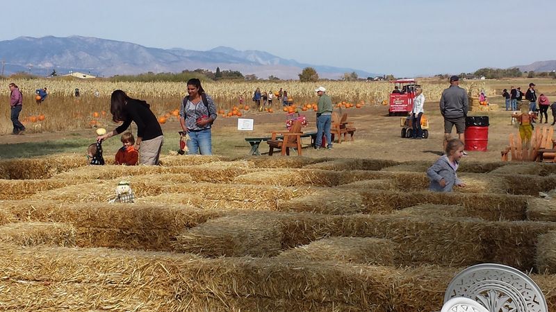 A Working Ranch That Trades Fences For Festivities Each Fall