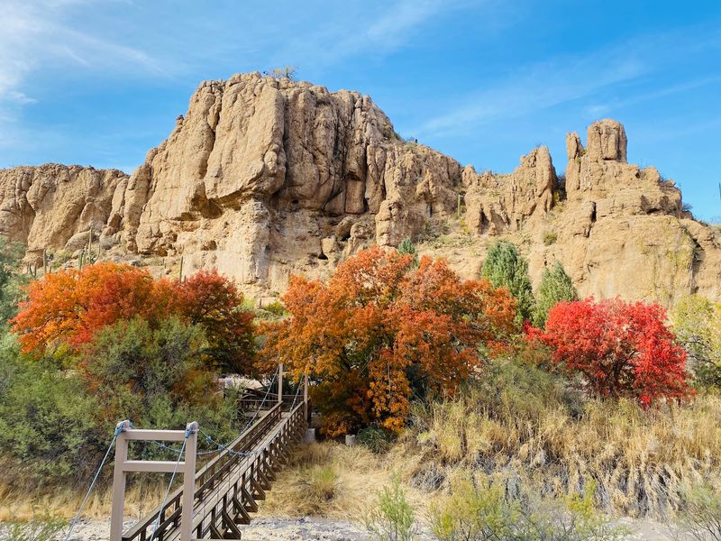 A Mining Millionaire's Desert Dream
