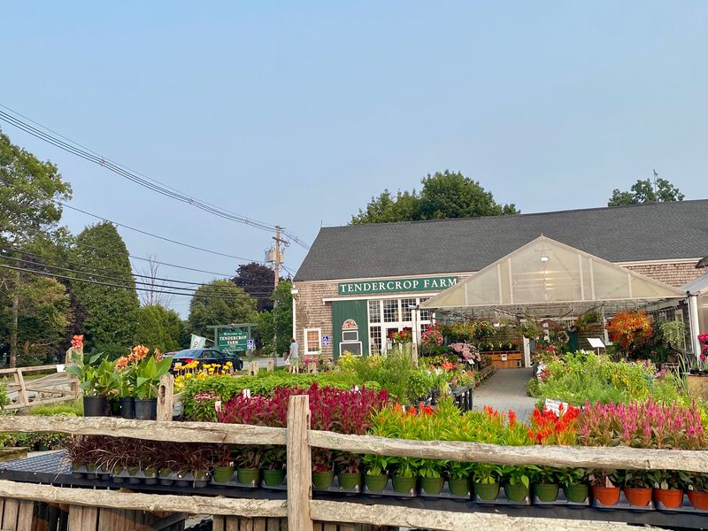 A 1600s Cow Barn Turned Farm Stand