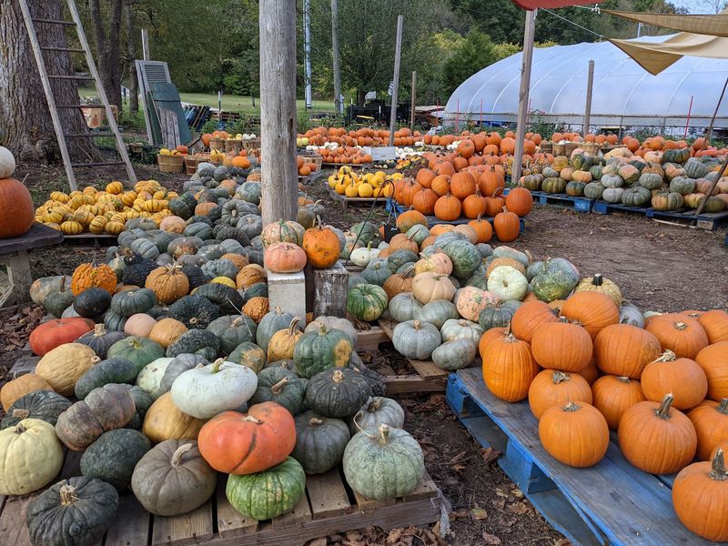 A First-Generation Farm Story Worth Knowing