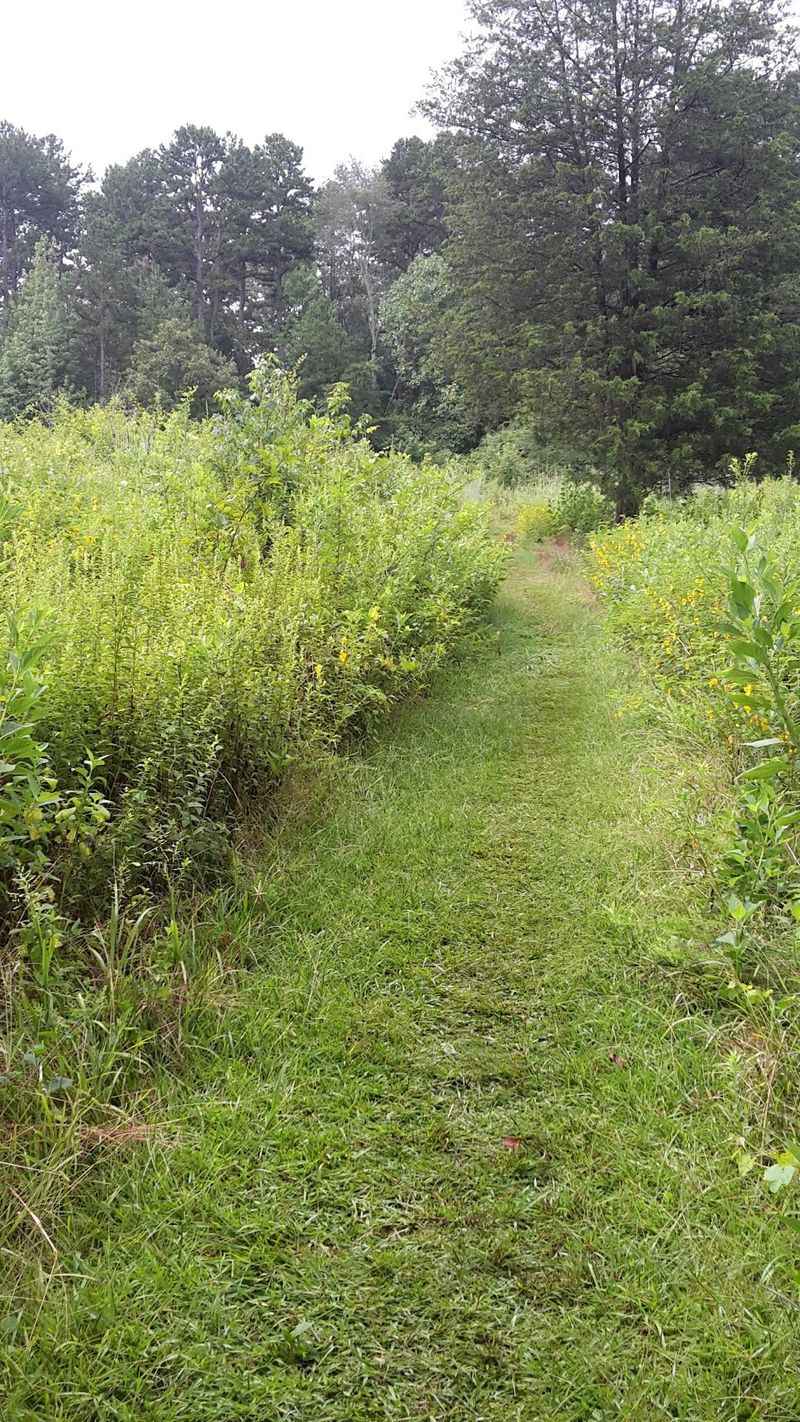 The Prisma Health Swamp Rabbit Trail Runs Right Through Town