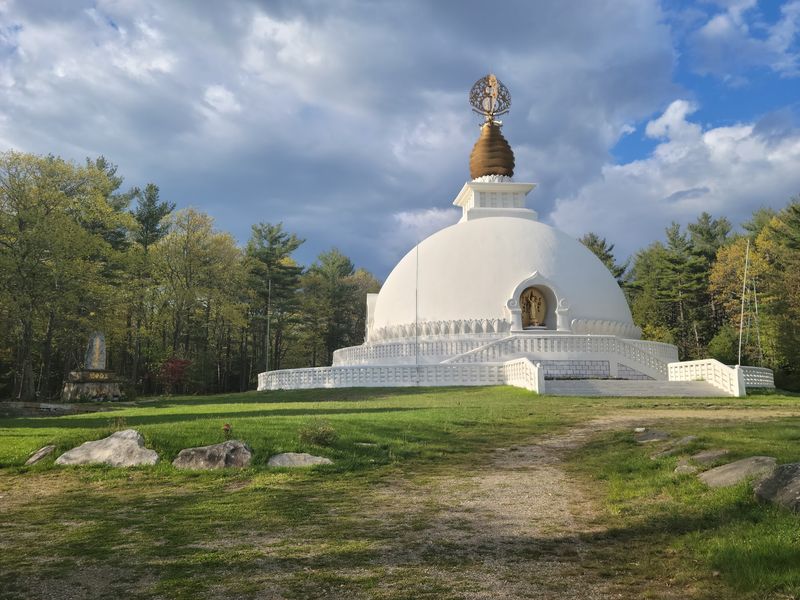 A White Dome Above Trees