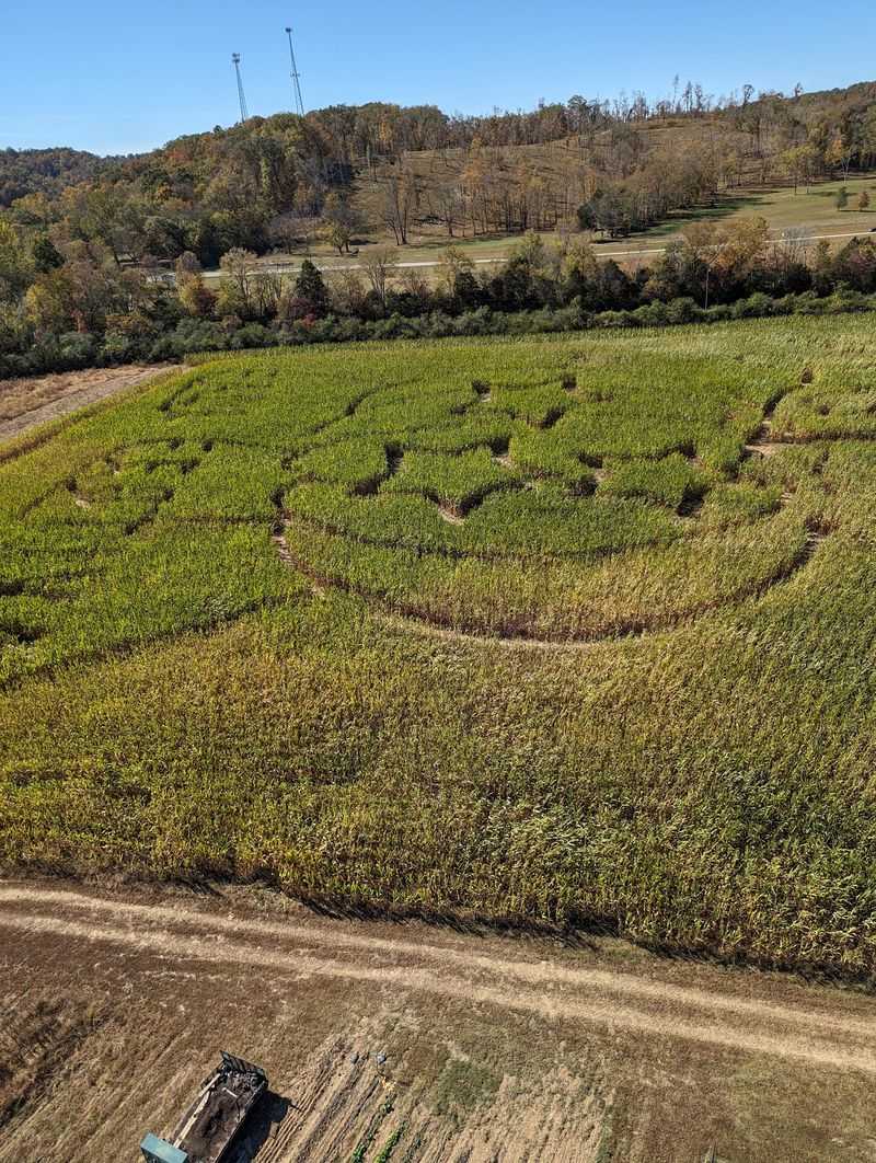 Seventy Acres Of Genuine Farm Country